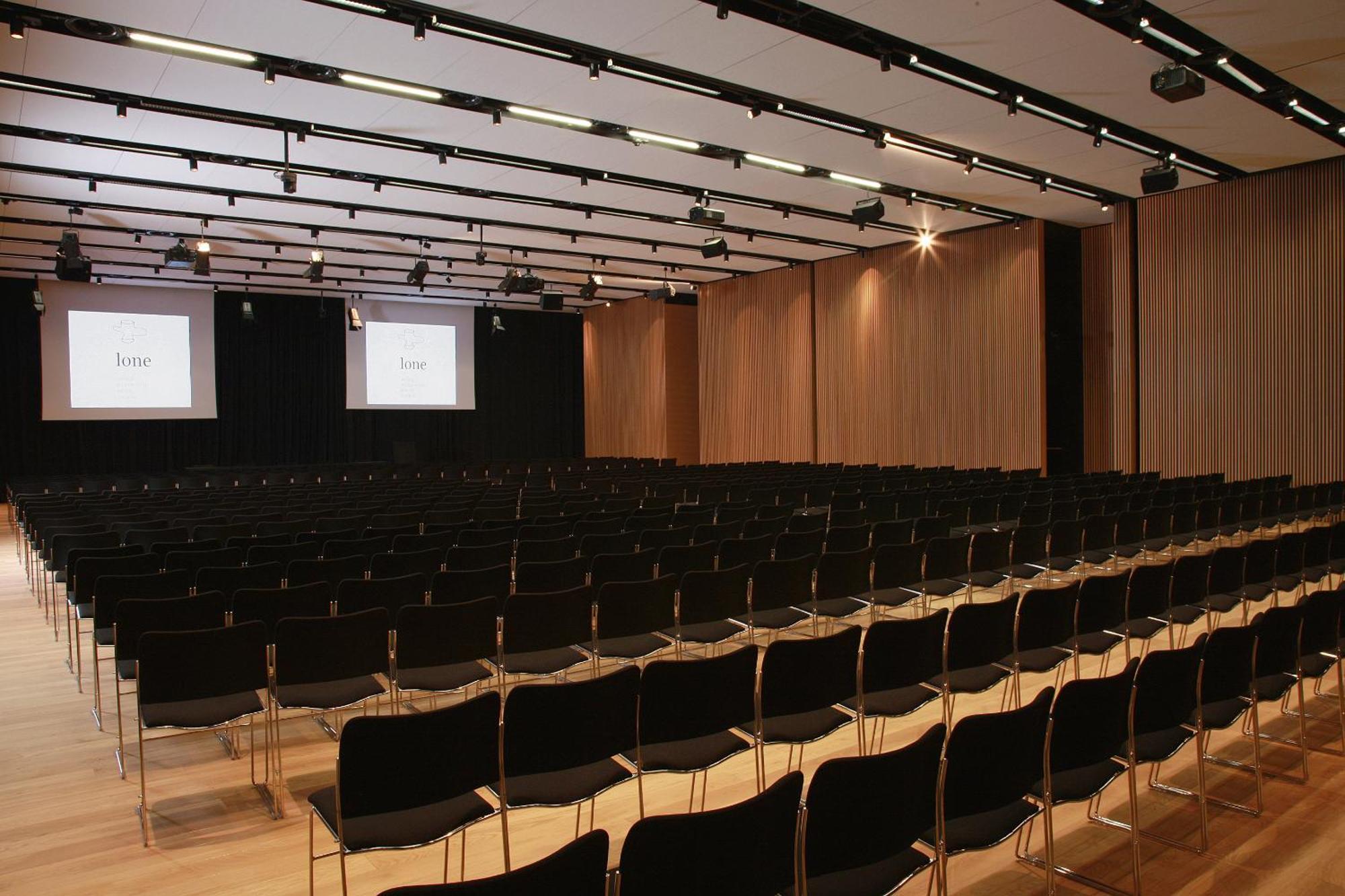 Lone Hotel By Maistra Collection Ровин Съоръжения снимка The conference hall